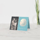 Search for sand dollar cards Seashell