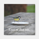 Search for beautiful square magnets Bird