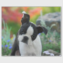 Search for portrait wrapping paper Puppy