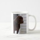 Search for chocolate labrador retriever mugs Puppy