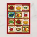 Search for fill postcards Blank