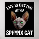 Search for sphynx cat art Cute