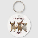 Search for chihuahua accessories Puppies