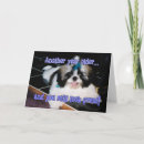 Search for shih tzu birthday cards Humour