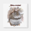 Search for squirrels magnets Critters