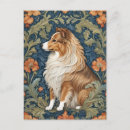 Search for shetland sheepdog postcards Pet