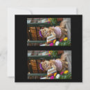 Search for sell cards Cat