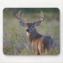 Search for rear view electronics Wildlife