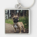 Search for love french key rings Pet