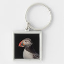 Search for puffin key rings Nature