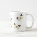 Search for orange tip Butterfly