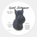 Search for giant schnauzer stickers Dog