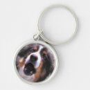 Search for colly key rings Pet