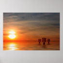 Search for viking ship posters Ships