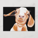 Search for pet goat postcards Farm