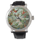 Search for tree watches Birds
