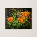 Search for poppy puzzles Wildflower