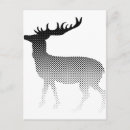 Search for animal pattern postcards Wild