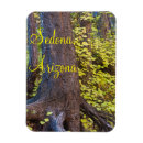 Search for west fork Sedona