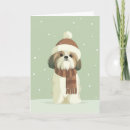 Search for cute shih tzu christmas cards Dog