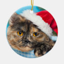 Search for tortoiseshell cat christmas tree decorations Kitties