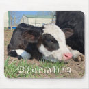 Search for calf mousepads Steer