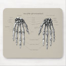 Search for skeleton bones mousepads Anatomy