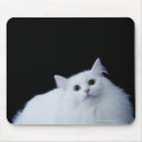 Search for siberian cat mousepads Animals