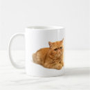 Search for persian cat mugs Animal