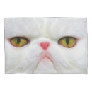Search for funny cat pillowcases Kitty