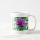 Search for sharon mugs Rose
