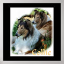 Search for colly art Collies