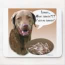 Search for chesapeake electronics Dog