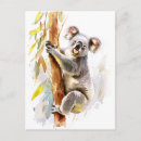 Search for eucalyptus postcards Wildlife