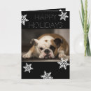 Search for from the dog christmas cards Pets