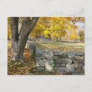 Search for fall scene postcards New england