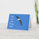 Search for humor nephew birthday cards Niece