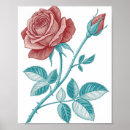 Search for etching posters Illustration