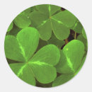 Search for bush stickers Pattern
