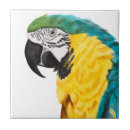 Search for parrot tiles Tropical