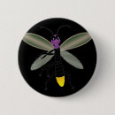 Search for firefly badges Insect