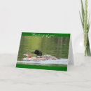 Search for loon cards Water