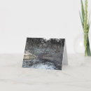 Search for stone bridge cards River