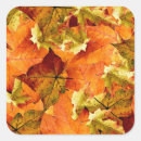 Search for crisp stickers Leaves