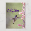 Search for birders postcards Animal