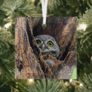 Search for birds nest christmas tree decorations Woods