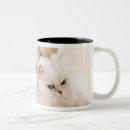 Search for dog shot mugs Looking at camera