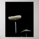 Search for mushroom posters Garden