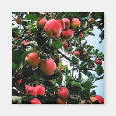 Search for apple tree magnets Green