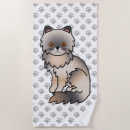 Search for blue persian Kitty